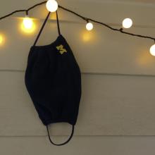 health research topics for students mask hanging
