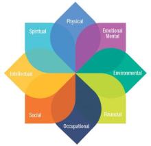 Model of wellbeing graphic