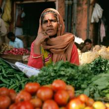 produce vendor